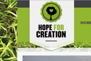 hope for creation