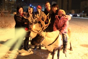Reindeer in Mongolia (photoshopped!)