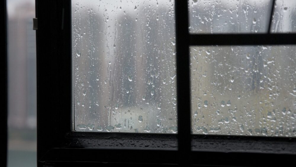 Rainy window