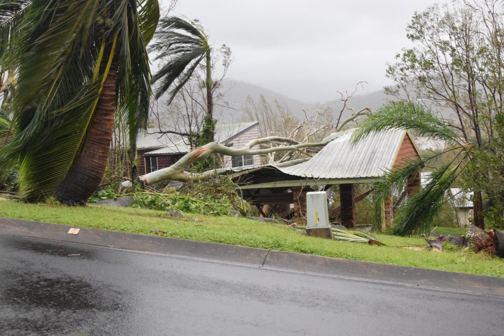 A tree falls on a garage in Airlie Beach during Cyclone Debbie