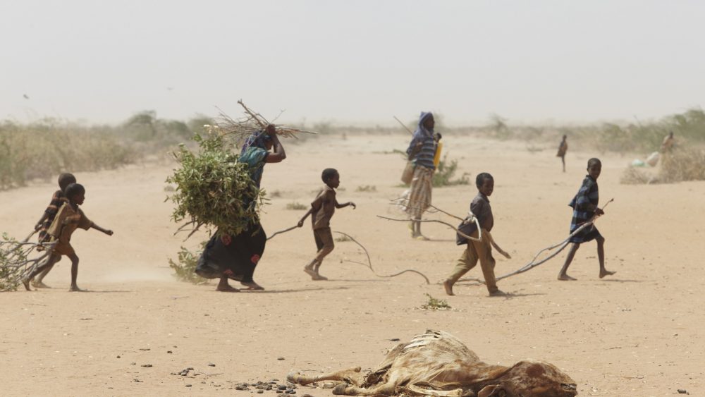 20 million people are affected by the drought in East Africa