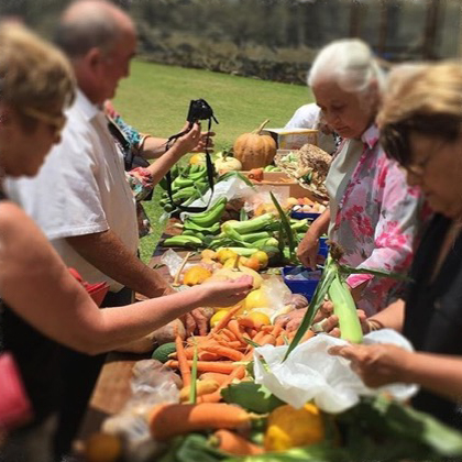 Enjoying the harvest on Norfolk Island for Thanksgiving