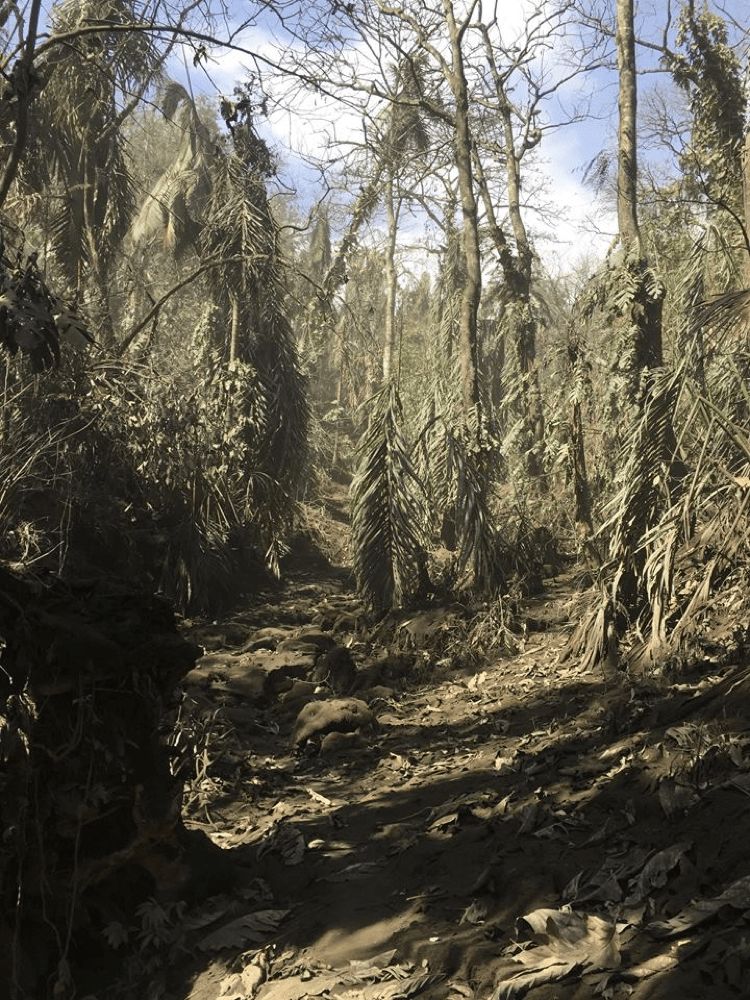 The island was greyed out with volcanic ash. 