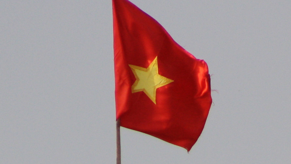 Vietnam Flag