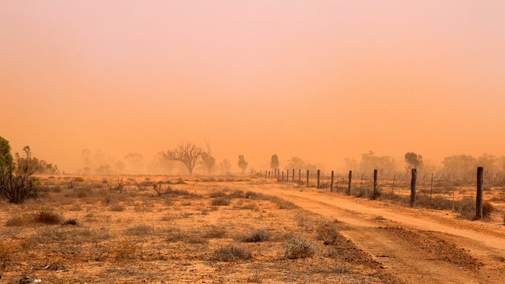 "The ground is dust and dirt now," says Skye Agar of her family's property in Wyandra, in remote southwest Queensland.