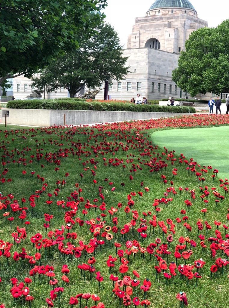 Poppies outside the Australian War Memorial in Canberra.