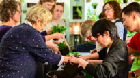 A plant care workshop with members of Collins St Baptist Church.