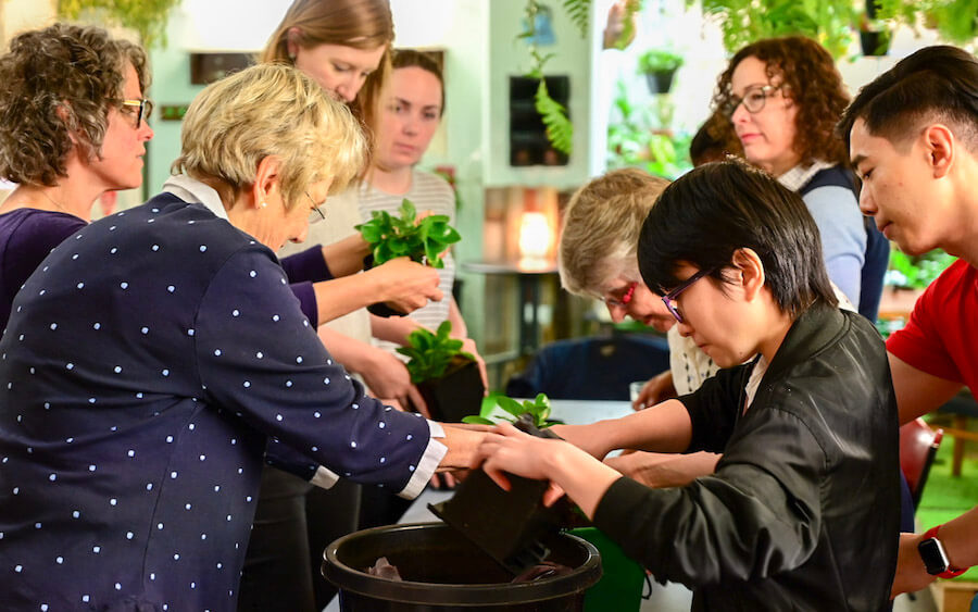 A plant care workshop with members of Collins St Baptist Church.