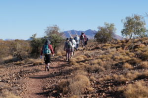 Glenhelen towards Mt Sonder