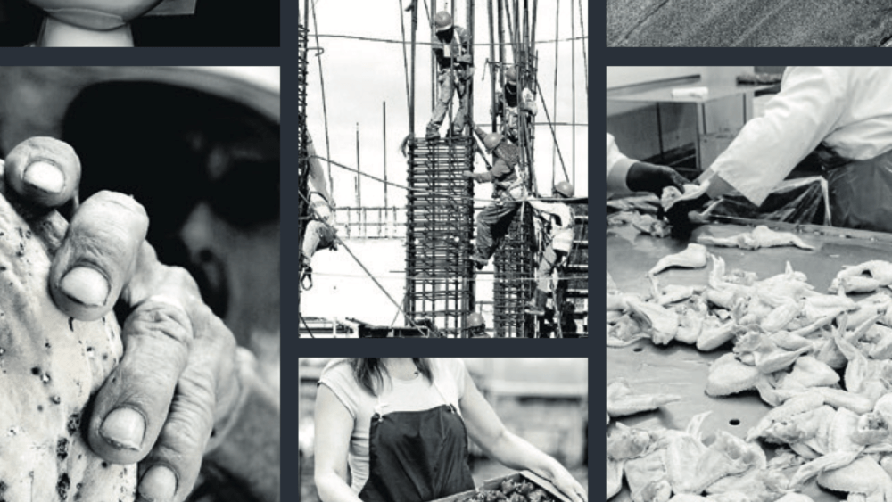 Images from the Progress Report on Catholic Action in Australia to Eradicate Modern Slavery in Supply Chains.