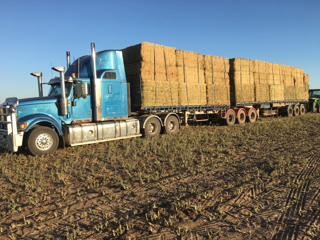 Bales of hay