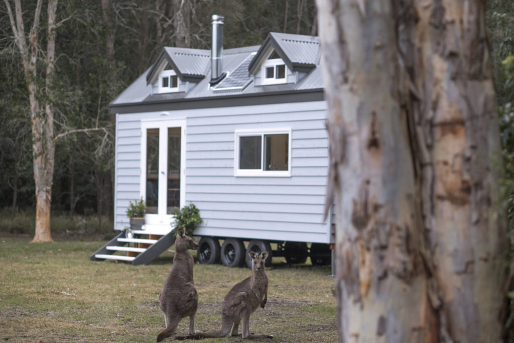 Image courtesy of Designer Eco Tiny Homes: https://designerecotinyhomes.com.au/