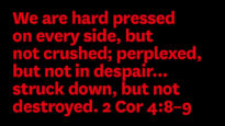 2 Cor 7:8–9