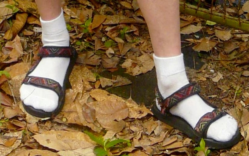 Sandals and socks