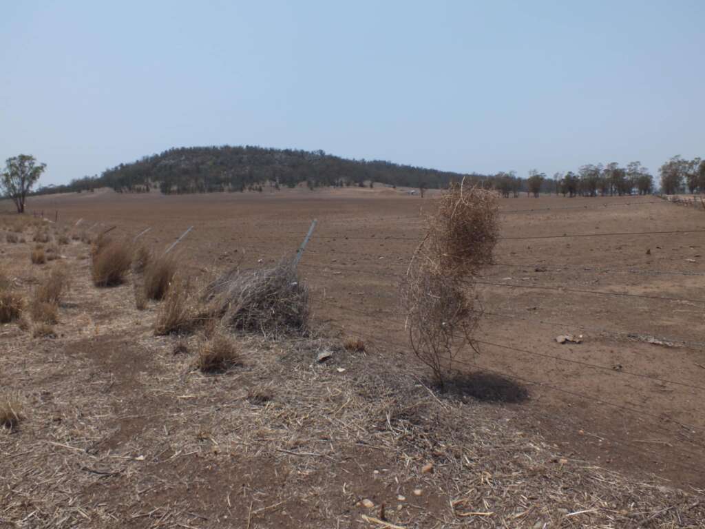 Wee Waa, NSW, landscape