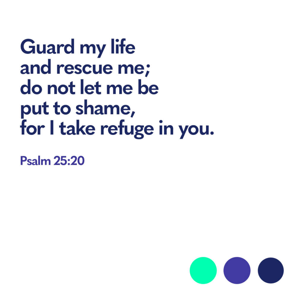 Bible verse Psalm 25 20