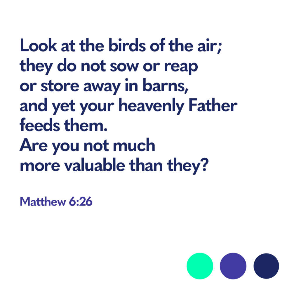 Bible verse Matthew 6 26