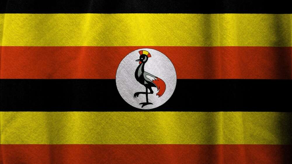 Uganda flag