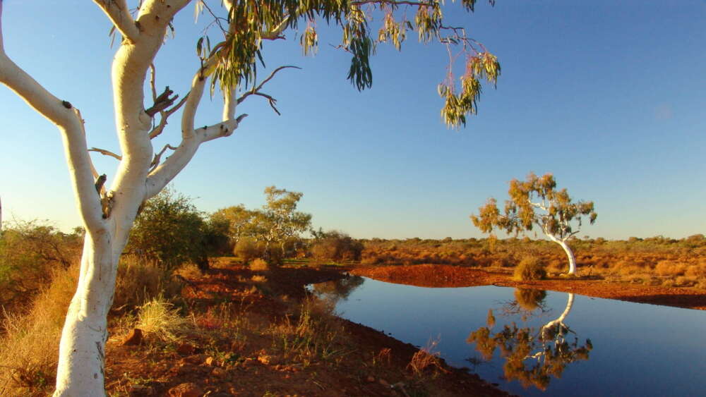 outback Australia