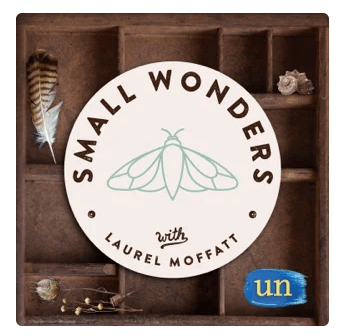 Small Wonders with Laurel Moffatt is available at undeceptions.com/small-wonders/