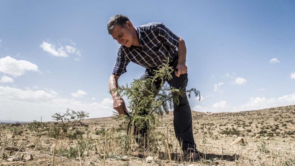 Tony Rinaudo in Niger