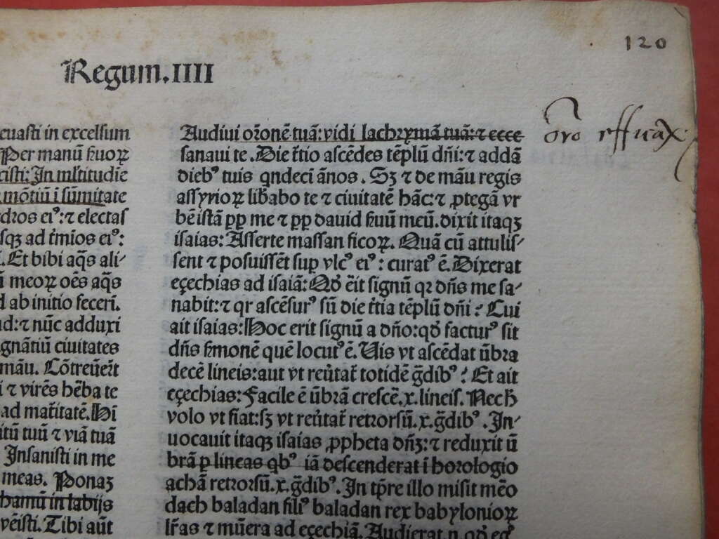 Latin Vulgate Bible