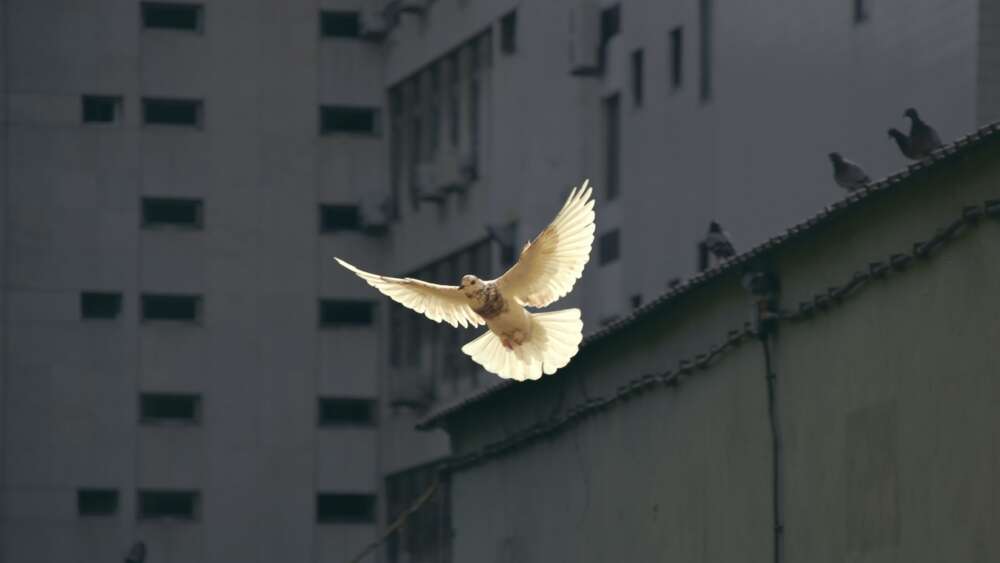Do we need revival today? - Eternity News - Vimarsana News