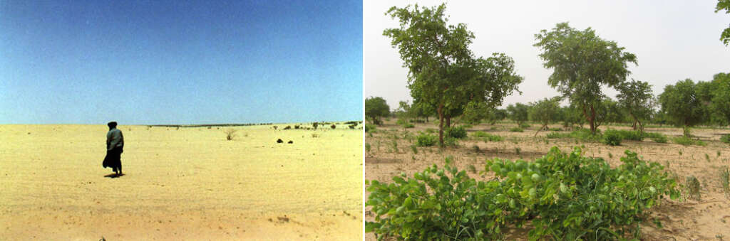 Niger before and after the forest regeneration advocated for by Tony Rinaudo