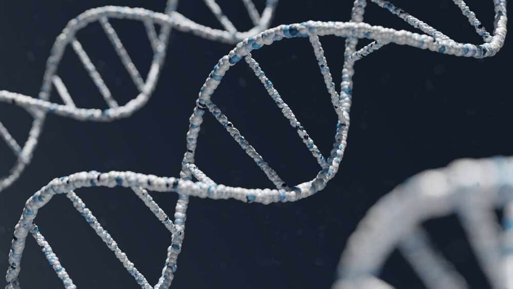 The future of humanity: genetics and Christianity