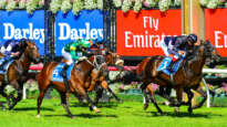 Horse Racing Melbourne Cup