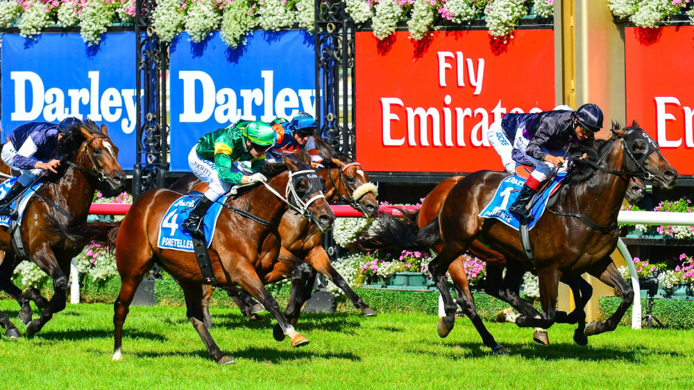 Horse Racing Melbourne Cup