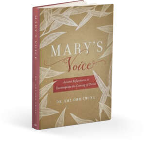 Mary's Voice by Amy Orr-Ewing