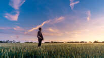 Man looking into sky